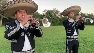 Mariachi Voces De America /Miami/