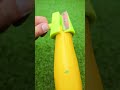 This Gadget Is Pure Kitchen Magic!