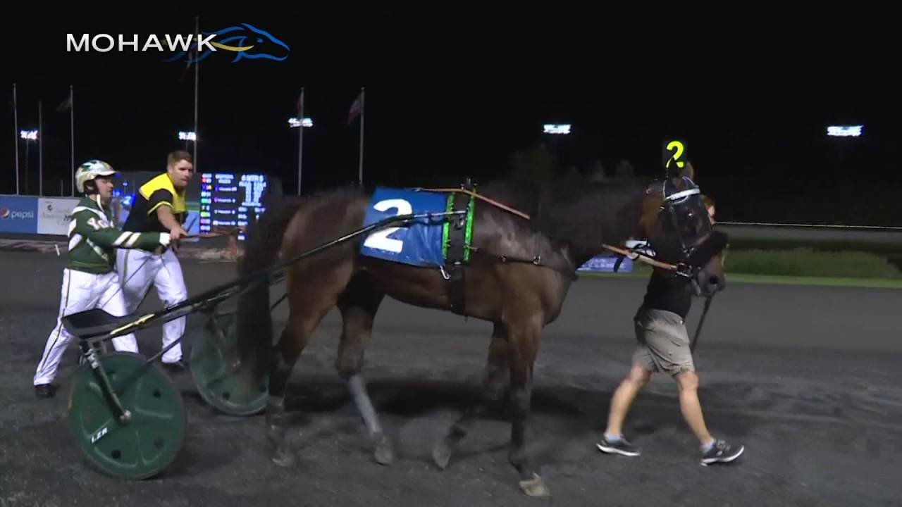 Mohawk, Sbred, Sept. 8, 2016 Race 5 YouTube