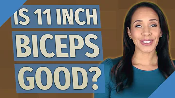 What is the perfect size of biceps?