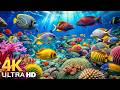 The Best 4K Aquarium - Marine Life, Sea Animals and Coral Reef Fish Tank Sounds for Deep Sleep #12