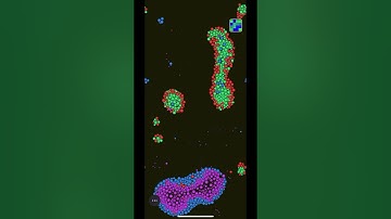 Quantum - Particle Life #simulation #cellularautomata #particlephysics #particlelife