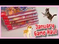 January 2024 Video Game Haul