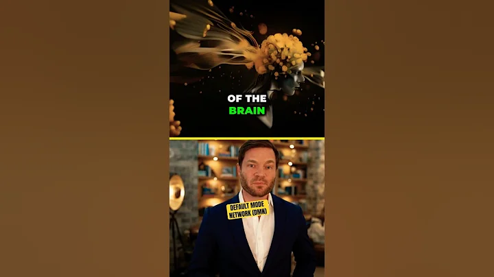 What is the Default Mode Network (DMN) in our Brain? 🧠