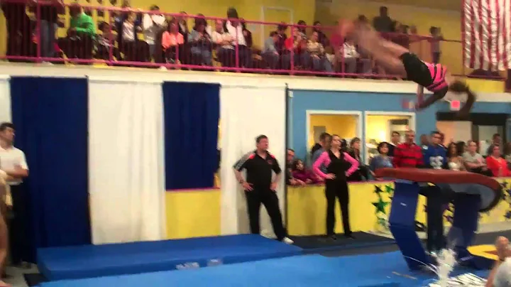 Vault - Kaitlin Menhinick 9.5 @@ NJ Level 10 State...