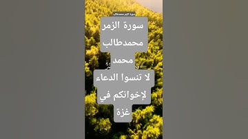 سورة الزمر محمدطالب محمد #الشيخ #القران_الكريم #القارىء #المصحف #لايك #قران_كريم #تيك_توك #اكسبلور