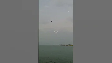 مابقى بحر من بحوري لوصلك ماغرقته اصاله 