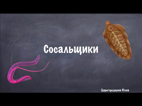 Паразитология. Плоские черви. Сосальщики