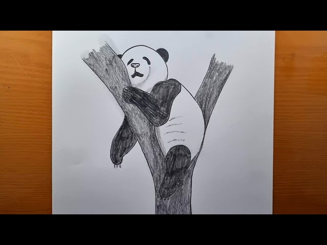 desenho panda fasio｜Pesquisa do TikTok