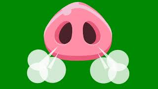 Pig Nose Green Screen Video