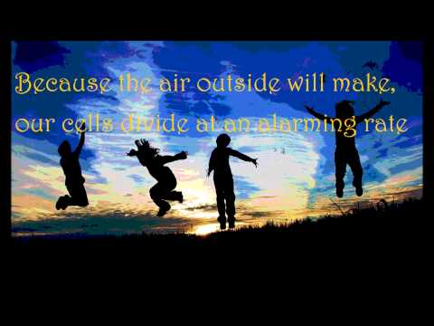 We Will Become Silhouettes -The Shins