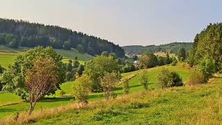 Höhenklimaweg Schluchsee Riesenbühlsteig - Schöne Lichtstimmung gegen Abend (19.08.2025)