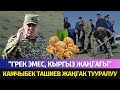 КАМЧЫБЕК ТАШИЕВ ГРЕК ЖАҢГАГЫН КЫРГЫЗ ЖАҢГАГЫ ДЕП АТООГО ЧАКЫРДЫ