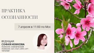 Практика осознанности. Ведущая: София Немкова