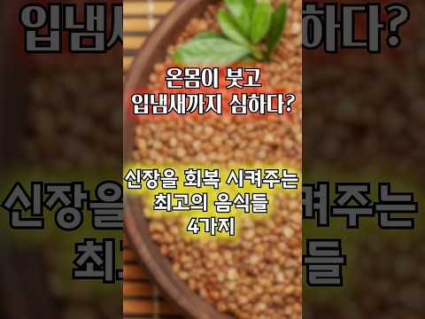 온몸이 붓고, 가렵고, 심한 입냄새 원인이 신장? 신장 기능이 확 좋아지는 음식 4가지