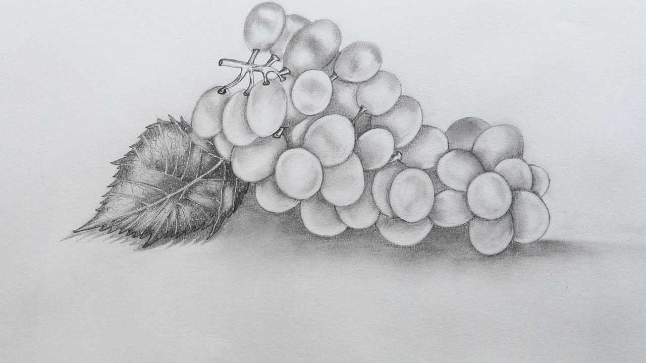 29 Cool Grapes sketch drawing for Girl