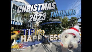 Westie Christmas in Thailand 2023 | Palm Trees & Turkey by Wylie Westie 208 views 4 months ago 7 minutes, 21 seconds