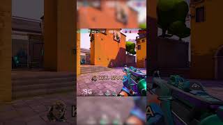Why you should never wait to kill an AFK player