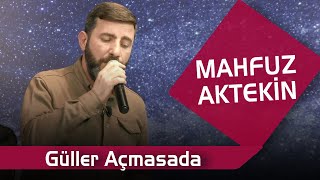 Mahfuz Aktekin   Güller Açmasada Resimi