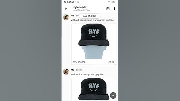 This Online Scammer Stole MILLIONS From Freelance Designers