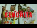 Snik x tamta  senorita official music