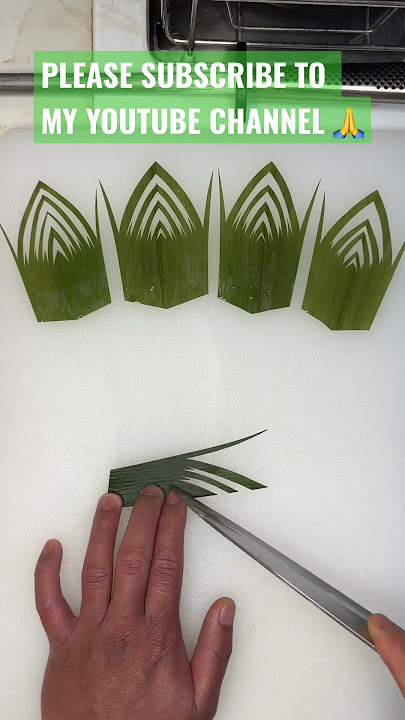 SASA GIRI | BAMBOO LEAF DECORATION FOR SUSHI 🍣