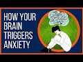 The anxious brain amygdala versus cortex based anxiety