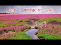 kass 🪷🌷| कास _ यवतेश्वर | भटकंती महाराष्ट्राची ☘️