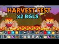 This is how i double my bgls in harvest fest  omg   2023