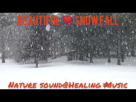 Nature sound; Relaxing snowfall music; Beautiful ❤️ music WhatsApp status