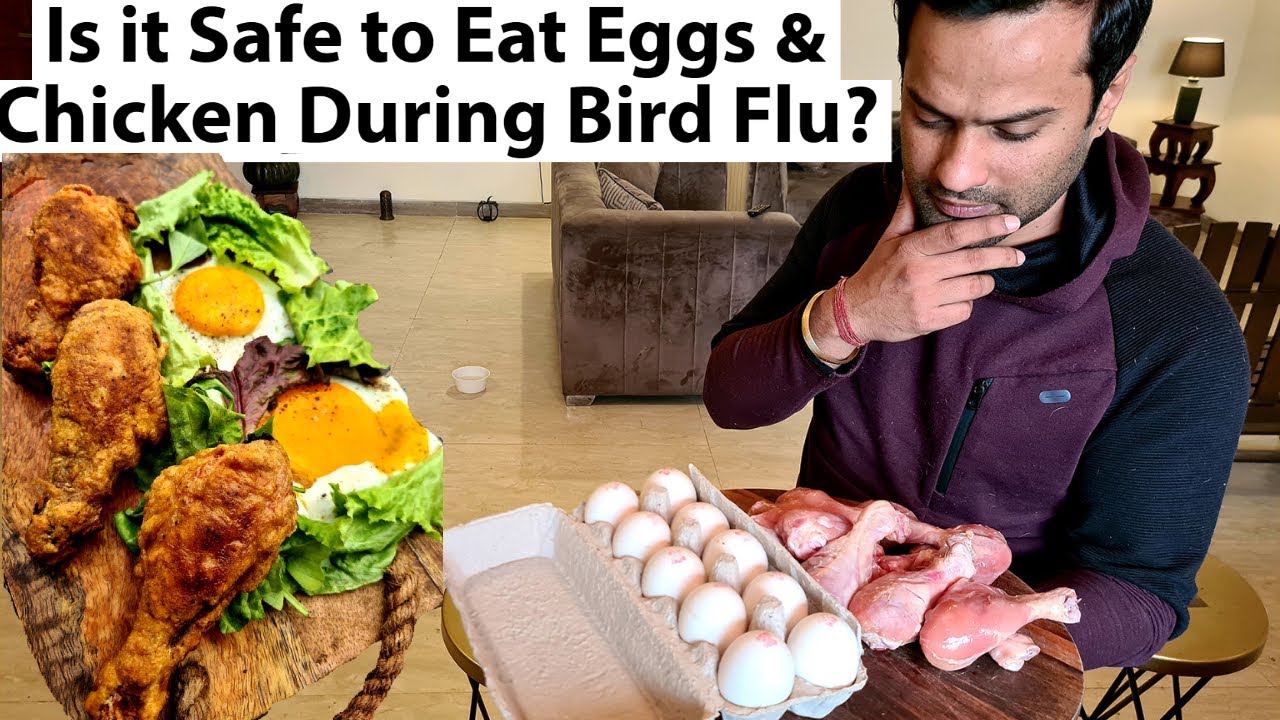 Is it Safe to Eat Eggs & Chicken During Bird Flu? First Vlogger to