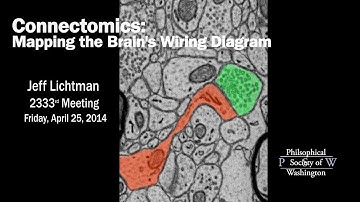 PSW 2333 Connectomics: Mapping the Brain
