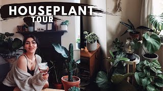 Houseplant Tour 2021: Indoor Tiny Apartment Tour (+ care and tips!) 🌿