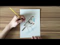 Nightingale watercolor tutorial  marni manning art