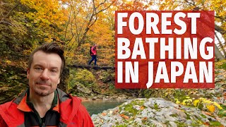 Exploring Nyuto onsen and a wild hot spring on foot