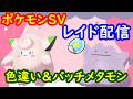 🔴【ポケモンSV】色違いピッピ配布レイド+とくせいパッチメタモンレイド+視聴者同士の交流所(攻略情報・レイド募集・ポケモン交換・ポケモン対戦・攻略情報など)2026年5月14日 夜~
