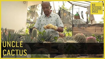 Uncle Cactus | Nimal Ramachandra // 60 Second Docs
