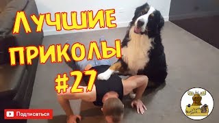 Подборка приколов #27 ДЕВУШКИ ЛЕТО НЕГРЫ СМЕХ 2017 Подборка приколов #27 ДЕВУШКИ ЛЕТО НЕГРЫ СМЕХ 2017