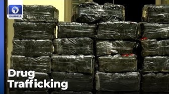 Thumbnail for North East: Bauchi Drug Trafficking, Yobe Urban Development + More | Newsroom Series