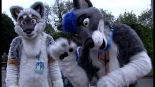 Confuzzled 2013 (AR Edit) #1