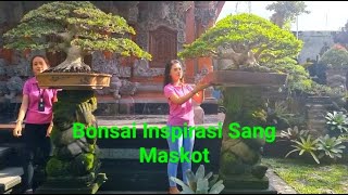 Bonsai Inspirasi Ngopi Koleksi terbaru Istana Bonsai