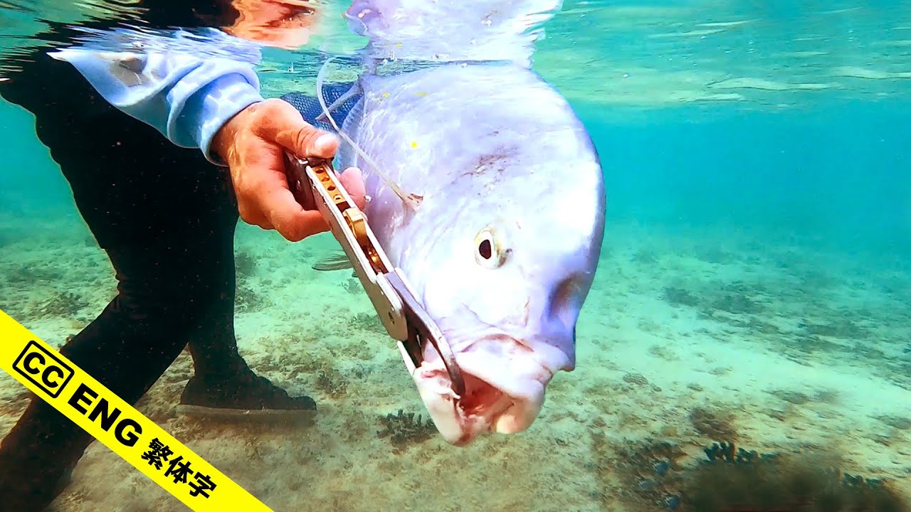 沖縄ウェーディングの大物狙い攻略法