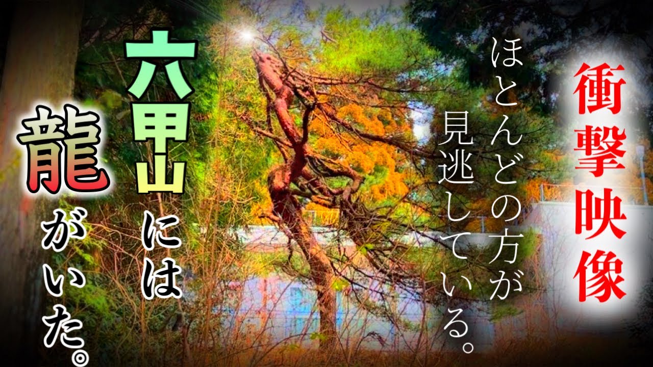 【六甲比売大善神社/パワースポット】永遠の謎！瀬織津姫は龍神(アクセス/駐車場/御朱印/御守り)『スピリチュアルVlog』「2024年」