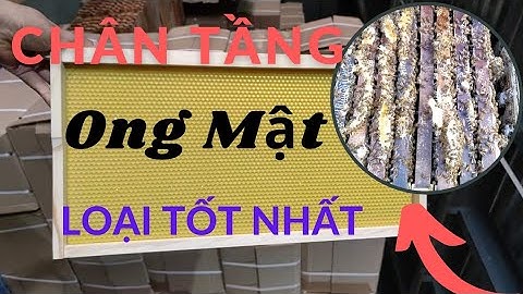 Chân Tầng Ong Nội Ong Ngoại Loại Tốt