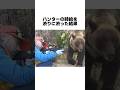 熊駆除ハンターの時給を渋った結果がヤバすぎる#雑学