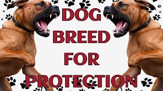 🐾 Top Dog Breeds for Ultimate Home Protection by Paws and Purrs 499 views 2 weeks ago 6 minutes, 10 seconds