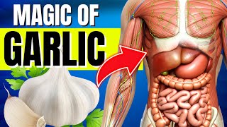 6 Shockingly Powerful Health Benefits of Garlic (OMG)