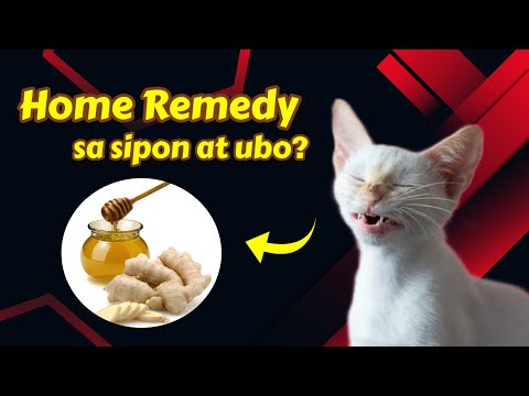 Home Remedy Para