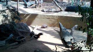 Sydney 2013 WP 20131027 15 31 46 Pro
