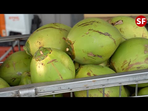 椰子水—台灣街頭小吃 Coconut Juice-Taiwanese Street Food